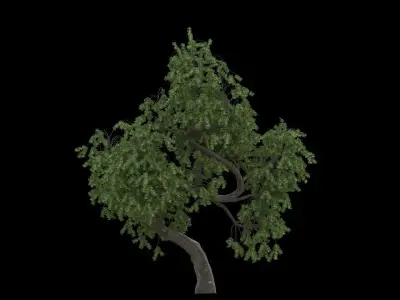Pack x 10 Miscellaneous Trees 3D model