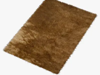 Carpet Brown 3D model