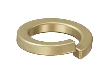 Brass Spring Washer 3D model