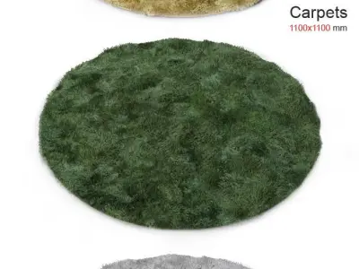 Round Carpet 3D model