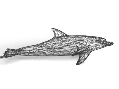 Dolphin Wireframe Low-poly 3D model