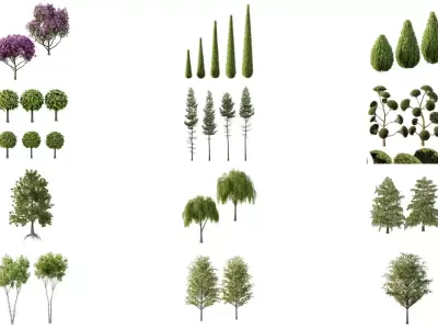 Excellent collection of Outdoor plants 32 Different Models 0036 3D Model Pack