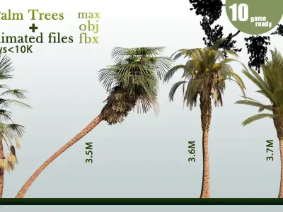 10 Palm Trees VOL 04 And Animated Files Low-poly 3D model