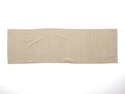 Herringbone Rug 3D model