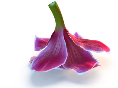  3D Flowers Collection – Orchids, Roses, Nymphaea, Lilies 