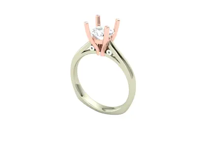 Women Ring  Render 3dm STL OBJ FBX Details 3D print model 246