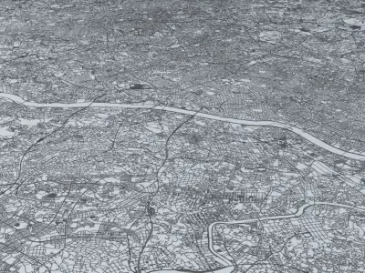 Tokyo Road Network and Streets 3D model