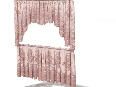 Rose Curtain Set 3D model