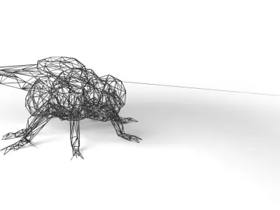 Fly Wireframe Low-poly 3D model