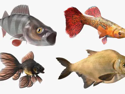  Rigged Freshwater Fish Collection 2 