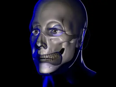 X-Ray Male Face Unrigged 3D model
