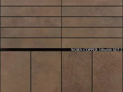 Ariana Ceramica Worn Copper 100x600 Set 2 3D model