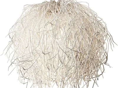 Hanging chandelier Windblown Chandelier by Palecek 3D model