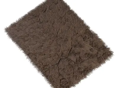 Carpet fur rug 3D model