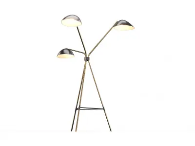 Curvilinear Tripod Floor Lamp 3D model