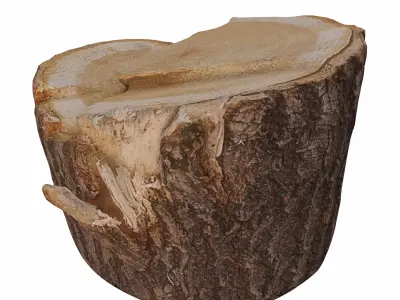 trunk 103 3D model