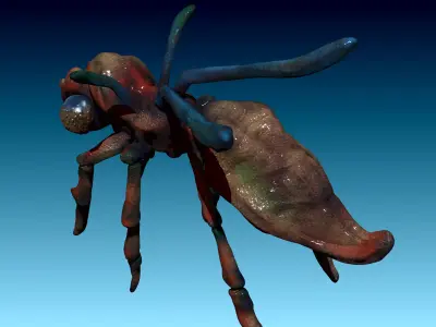 Crustacean Insektoid 3D model