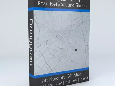 Dongguan Road Network and Streets 3D model