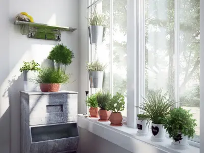 Archmodels vol 141 - high quality indoor plants 3D model