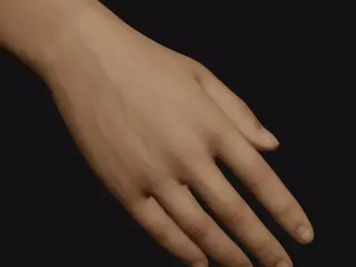 Male Right Hand Rigged Low-poly 3D model