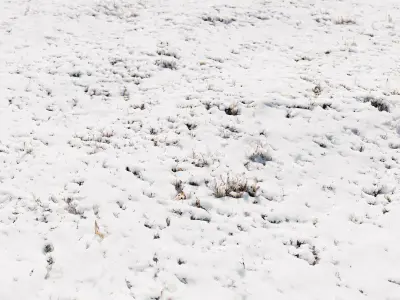 Ultra realistic Snow ground 3 2021 Hq Scan 3D model 3D model