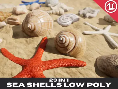 Low Poly Sea Shells Pack with Unreal Engine 5 Project Low-poly 3D model