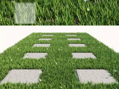 Grass 4 floor with squares 3D model
