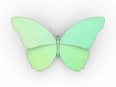  Blue Morpho Butterfly 