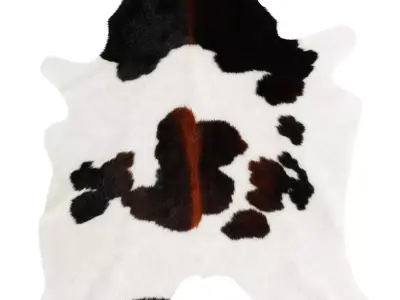 Chocolate and White Cowhide Rug 3D model