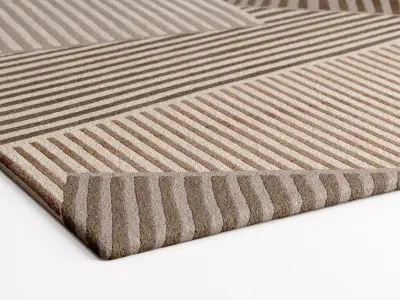 Chromagraph rug with stripes 3D model