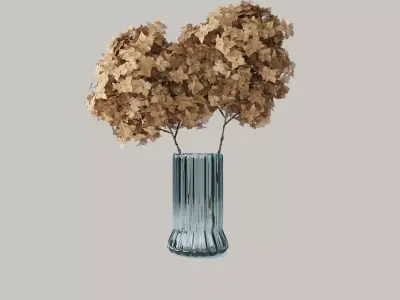 Dry Hydrangea Flowers 3D model Free 3D model