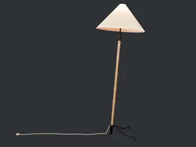 Bamboo floor lamp 3D model