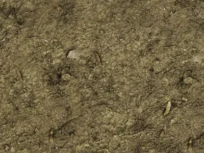 Soil Ground 01 - Scanned PBR Texture 4K Texture