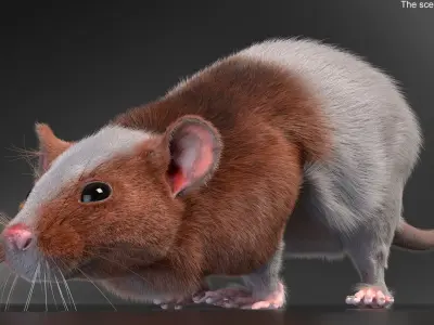 Running Rat Fur Animated Rigged 