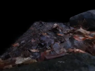 Muddy autumn forest floor  Free 3D model