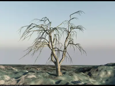 Dry Elements - Plants and terrains - 3D model 3D model