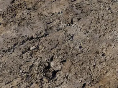 Rutted Clay With Damp Patches PBR Texture Texture