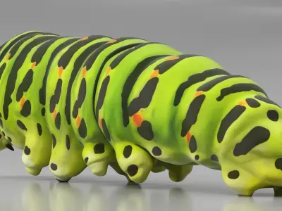  Caterpillar Crawling Animated Rigged for Maya 