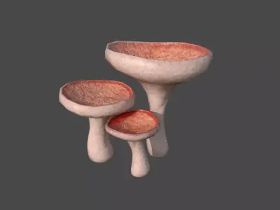 Fantasy Mushroom J11 Realistic - Scene Backdrop Design Low-poly 3D model