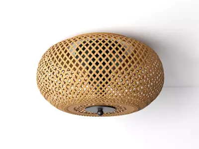 Bauro Ceiling Lamp 3D model