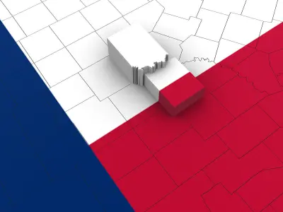 Texas Political Map 3D model