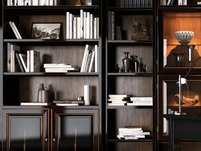 Selva Arena bookcase 3D model