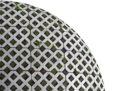 Seamless lawn parking material Texture