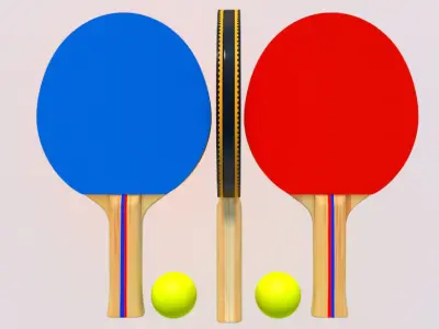 Tennis Table AND Tennis Paddles 3D model