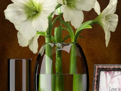  FLOWERS AMARYLLIS 3D model