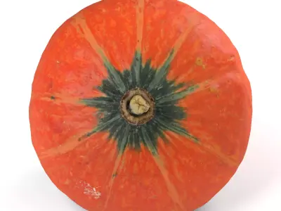 Orange Pumpkin - Photorealistic  Scan Low-poly 3D model