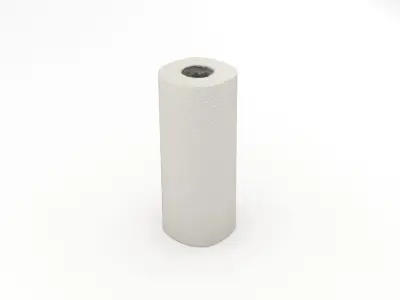 Paper Towel Roll 3D model