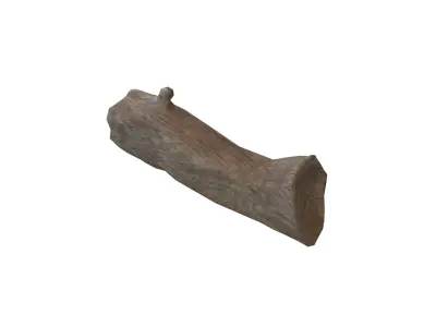 Fallen Tree Trunk v1 001 Low-poly 3D model