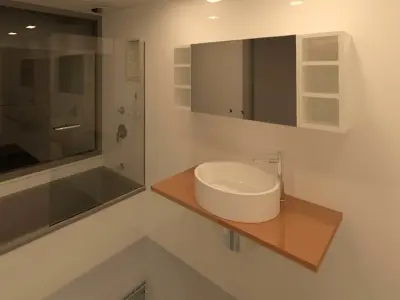 WC Wall Mirror Cabinet with Shelves 3D model