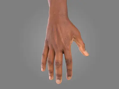  Multi Bare Arms Fully Rigged 